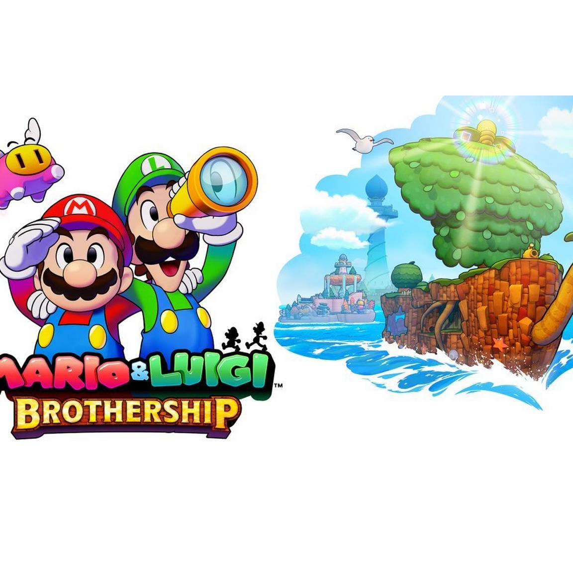 Mario & Luigi Brothership SW